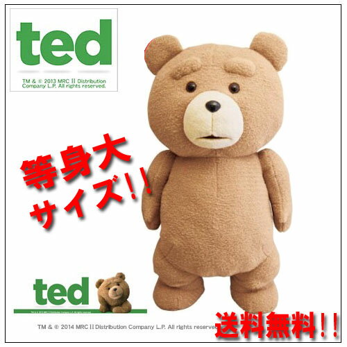 送料無料【 等身大　TED　テッド　特大　ぬいぐるみ　53cm 】テッドグッズ　テディベア…...:rapites:10000016