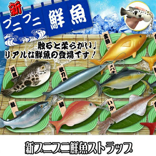 【ぷにぷに 鮮魚 スクイーズ ストラップ 】人形 魚 動物 リアル 海の動物 水族館 海の生き物 鯛...:rapites:10000590