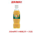 【日本全国送料無料】コカ・コーラ(コカコーラ)カナダドライジンジャーエール 350mlPET×48本(2ケース分)販売
