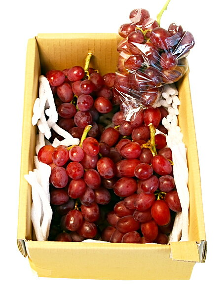 送料無料！違い歴然名人佐藤さんの絶品 早生甲斐路2kg＋食べ比べ用おまけ付