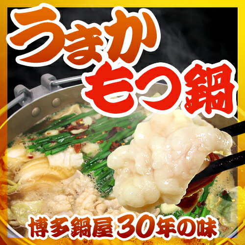 博多もつ鍋　お得セット（3〜4人分/野菜なし)【 もつ・スープ・麺・薬味2 】...:ratsnest:10000810