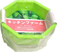 スプラウター「キッチンファーム」(小