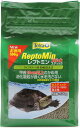 テトラ レプトミン スティック 500g お徳用【在庫有り】-「2点まで」(消費期限2020/01/02)