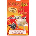 ポゴナクラブ 保温球 バスキングスポット 60W 【在庫有り】-