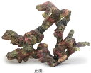 ATS 枝状ライブロックレプリカ ライブロックモジュールB (約49×36×17cm) 【在庫あり】