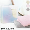 日本製 肌に優しいバスタオル 60×120cm rehada リハダ ふんわりかろやか スキンケア習慣 弱酸性 保湿性 レーヨン 消臭 美容【送料無料】