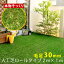 ロール 人工芝 (芝丈30mm)幅1mx長さ2m ロールタイプ リアル人工芝 屋上緑化 ベランダ 庭 屋外 グリーンターフ ガーデンターフ(代引不可)【ポイント10倍】【送料無料】【smtb-f】