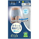 さらっと吸水パンツ 男性用 Mサイズ DPI45MV 片倉工業【ポイント10倍】