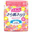 ナチュラ 快適さらり 吸水ナプキン 少量用 28枚 大王製紙【ポイント10倍】