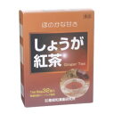 しょうが紅茶 32TB 黒姫和漢薬研究所【ポイント10倍】