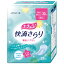 ナチュラ 快適さらり 吸水ナプキン 少量用 28枚 大王製紙【ポイント10倍】