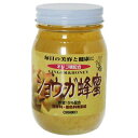オリヒロ ショウガ蜂蜜 580g【ポイント10倍】