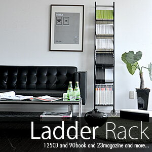 ラダーラック Ladder rack 壁面ラダーラック 収納 キャビネット ラック【送料無料】【Aug08P3】