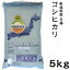 米 日本米 Aランク 令和2年度産 新潟県産 平場コシヒカリ 5kg ご注文をいただいてから精米します。【精米無料】【特別栽培米】【こしひかり】【新米】（代引き不可）
ITEMPRICE