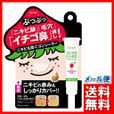 フォーミィ イチゴ鼻消し薬用コンシーラー 12g(
