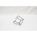 ガラステラリウム CUBE Sサイズ(代引不可)【ポイント10倍】