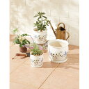 陶器植木鉢3点セット(受皿付) 台所 日用品 収納 DIY用品 園芸用品 UH03/3DFB3(代引不可)【ポイント10倍】