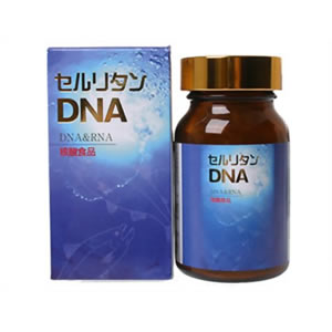 セルリタン DNA【Aug08P3】