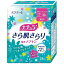 ナチュラ 快適さらり 吸水ナプキン 少量用 羽なし 28枚入 【尿モレが少し気になる方】