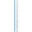 レイメイ 見やすい定規30CM AJR252A
