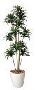 アートグリーン 人工観葉植物 光触媒 光の楽園 ドラセナコンパクタ1.6(代引き不可)【送料無料】