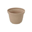 ポット 6号 ベージュ 鉢 植木鉢 プランター 園芸鉢 プラスチック 観葉植物 園芸 ガーデニング 家庭菜園 植物 栽培 土 ポット【送料無料】