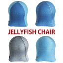 ジェリーフィッシュチェア デニムタイプ DENIM WKC103 バランスボール スタイルアップ エクササイズ クラゲ スパイス デニム(代引不可)【送料無料】【smtb-f】