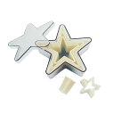 deBUYER(デバイヤー) 樹脂製パテ抜 五ッ星 5PCSセット 4304.60 WPT4901【送料無料】