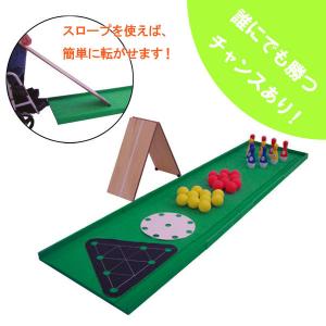 FK5100039 トッケン スロープころりん5(レクリエーション用品)(代引き不可)【エントリーでポイント5倍 〜7/21 23:59まで】技が1割、運が9割!誰にでも勝つチャンスあり!