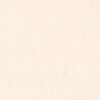 EN242-001 日本画用紙 (中判) 雲肌麻紙ドーサ (代引き不可)【RCPmara1207】【マラソン201207_生活】【お買い物マラソン ポイント最大40倍 〜7/12 1:59】日本画に使用。