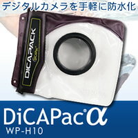 ディカパックα WP-H10