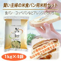 ＜レシピ付き＞シトギミックス20A（米食パン用） 1kg×4袋(代引き不可)【10P4Apr12】