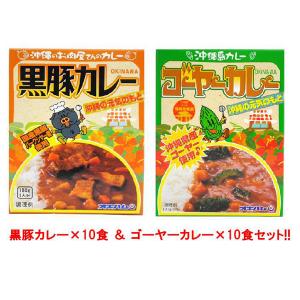 沖縄ハム(オキハム) 黒豚カレー×10食 ＆ ゴーヤーカレー×10食セット(代引き不可)【Aug08P3】