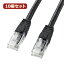 【10個セット】サンワサプライ つめ折れ防止カテゴリ6LANケーブル KB-T6TS-03BKX10(代引不可)【送料無料】