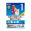 (まとめ)サンワサプライ インクジェット用スーパーファイン用紙A4サイズ100枚入り JP-EM5NA4-100【×5セット】
