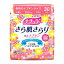 大王製紙 ナチュラ さら肌さらり 吸水ナプキン 少量用 28枚【尿モレが少し気になる方】