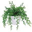 アートグリーン 人工観葉植物 グリーンネックレス(代引き不可)
