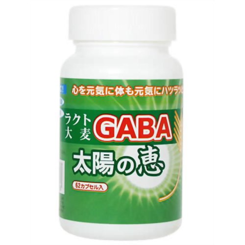 ラクト大麦 GABA 太陽の恵み【Aug08P3】【最大ポイント10倍 〜8/16 9:59まで】　