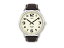 タイメックス TIMEX ビッグイージーリーダー 腕時計 時計 T28201【楽ギフ_包装】