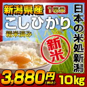  白米 こしひかり 1等米 10kg(5kg×2) 平成24年度産 楽天最安値挑戦！スーパーセール特別価格！