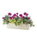 リッチェル プランター アイボリー 55型 (植木鉢)(代引不可) (代引不可)
