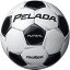 モルテン(Molten) フットサルボール4号球 ペレーダフットサル シャンパンシルバー×メタリックブラック F9P4001【送料無料】