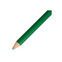 (業務用50セット) トンボ鉛筆 色鉛筆 単色 12本入 1500-07 緑 ×50セット