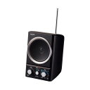 (まとめ)朝日電器 AM/FMスピーカーラジオ ER-SP39F(×10セット)