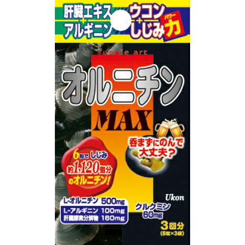 サプリアート オルニチンMAX 3回分(6粒×3袋)