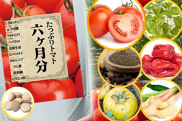 たっぷりトマト 6か月分（日本製） たっぷりトマト 6か月分/50点入り(代引き不可)【S1】