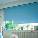日本製 ロールスクリーン オーダー 1cm単位 ウォッシャブルタイプ 幅41~60cm 高さ181~200cm タチカワブラインドグループ(代引不可)【送料無料】