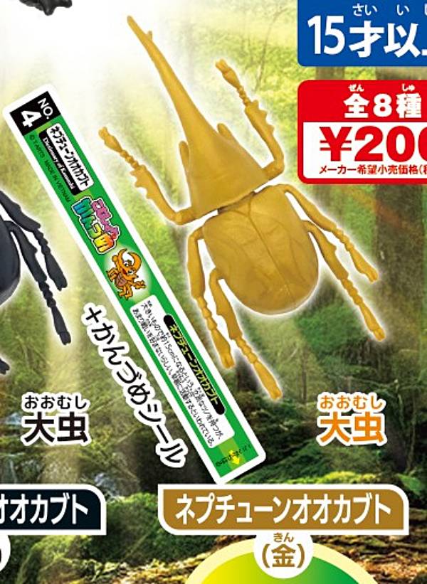 【No.04 <strong>ネプチューンオオカブト</strong>（金）】こむしちゃんのかんづめ パート36