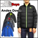 �m�[�X�t�F�C�X �_�E���W���P�b�g �L�b�Y Andes Down �A�E�^�[ THE NORTH FACE �j�̎q �W���j�A 05P03Dec16