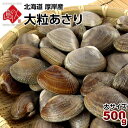 厚岸産 ごろっと殻付大粒あさり 500g最高鮮度でお届け【砂...